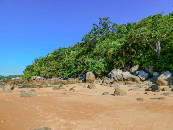 Madagascar - Parc de Lokobe